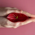 انواع عمل لابیاپلاستی